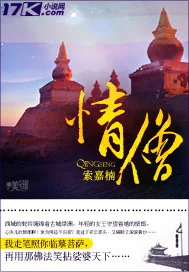 《情僧》小说封面