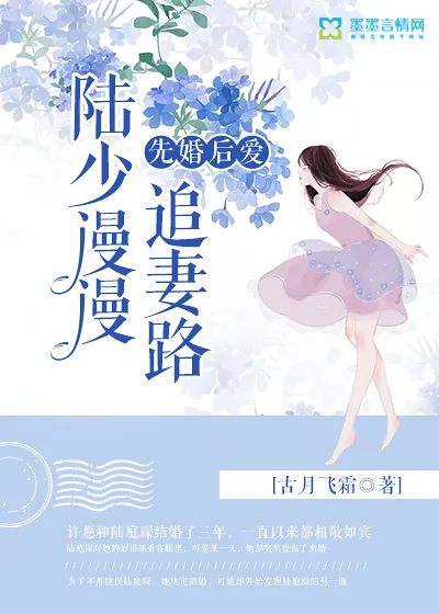 《先婚后爱：陆少漫漫追妻路》小说封面