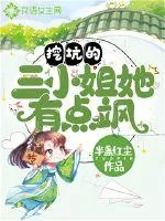 《挖坑的三小姐她有点飒》小说封面