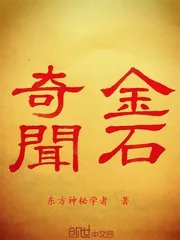 《金石奇闻》小说封面