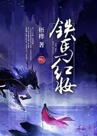 《铁马红妆》小说封面