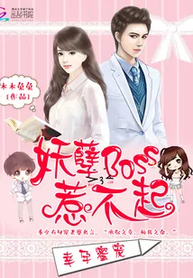 《季太太的开挂水逆》小说封面