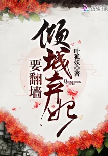 《倾城弃妃要翻墙》小说封面