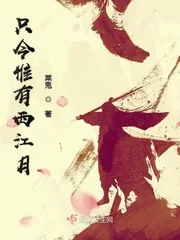 《只今惟有西江月》小说封面