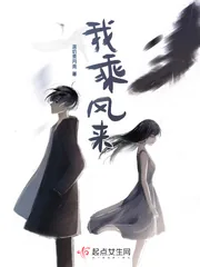 《我乘风来》小说封面