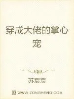《穿成大佬的掌心宠》小说封面