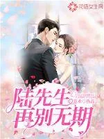 《陆先生,再别无期》小说封面