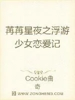 《苒苒星夜之浮游少女恋爱记》小说封面