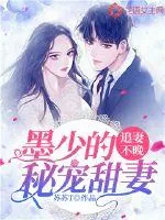 《追妻不晚：墨少的秘宠甜妻》小说封面