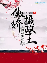 《傲娇摄政王,你命里缺朕》小说封面