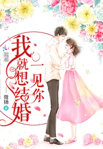 《一见你我就想结婚》小说封面