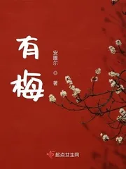 《有梅》小说封面