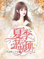 《夏季蓝颜》小说封面