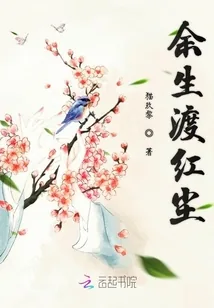 《余生渡红尘》小说封面