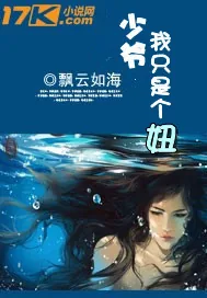 《少爷，我只是个妞》小说封面