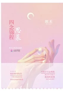 《四念锦程思慕》小说封面
