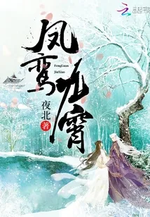 《凤鸾九霄》小说封面