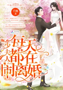 《少夫人每天都在闹离婚》小说封面