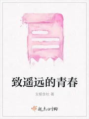 《致遥远的青春》小说封面