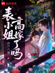 《表小姐高嫁了吗》小说封面