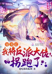 《穿书后我将反派大佬拐跑了》小说封面
