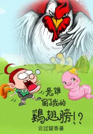 《是谁偷了我的鸡翅膀》小说封面