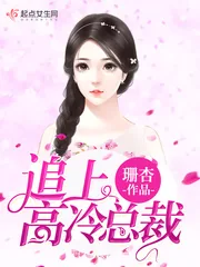 《追上高冷总裁》小说封面