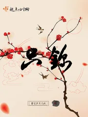 《只锦》小说封面