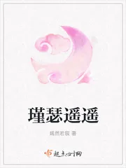 《瑾瑟遥遥》小说封面
