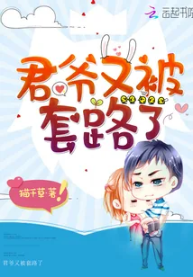 《君爷又被套路了》小说封面