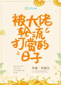 《被大佬轮流打赏的日子》小说封面