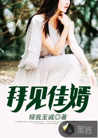 《拜见佳婿》小说封面