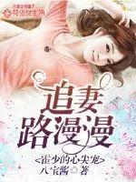 《霍少的心尖宠:追妻路漫漫》小说封面