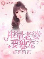 《限量老婆要独宠》小说封面