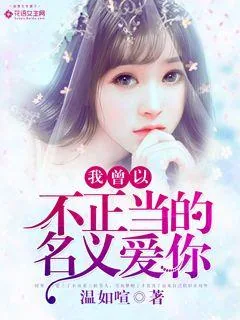 《我曾以不正当的名义爱你》小说封面