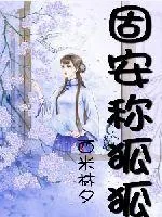 《固安称狐狐》小说封面