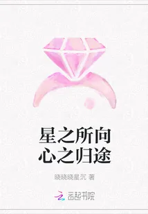 《星之所向心之归途》小说封面