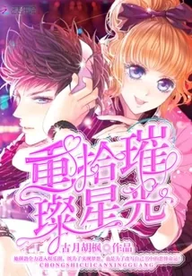 《重拾璀璨星光》小说封面