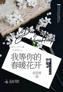 《我等你的春暖花开》小说封面