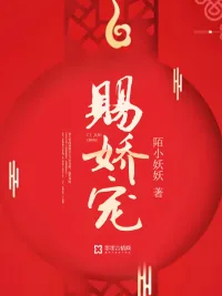 《赐娇宠》小说封面