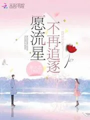 《愿流星不再追逐》小说封面