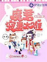 《妃常分裂:魔君宠妻太难》小说封面
