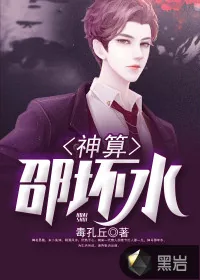 《神算邵坏水》小说封面