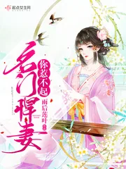 《名门悍妻你惹不起》小说封面
