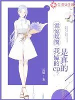 《震惊娱圈：我磕的cp是真的》小说封面