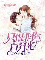 《只恨非你白月光》小说封面