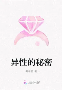 《异性的秘密》小说封面