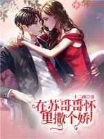 《在苏哥哥怀里撒个娇》小说封面