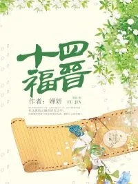《十四福晋》小说封面