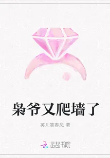 《枭爷又爬墙了》小说封面